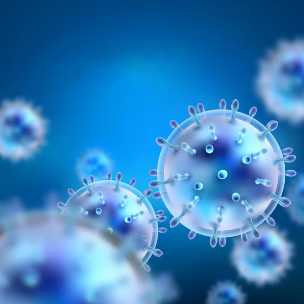 Cell Line Development Application
