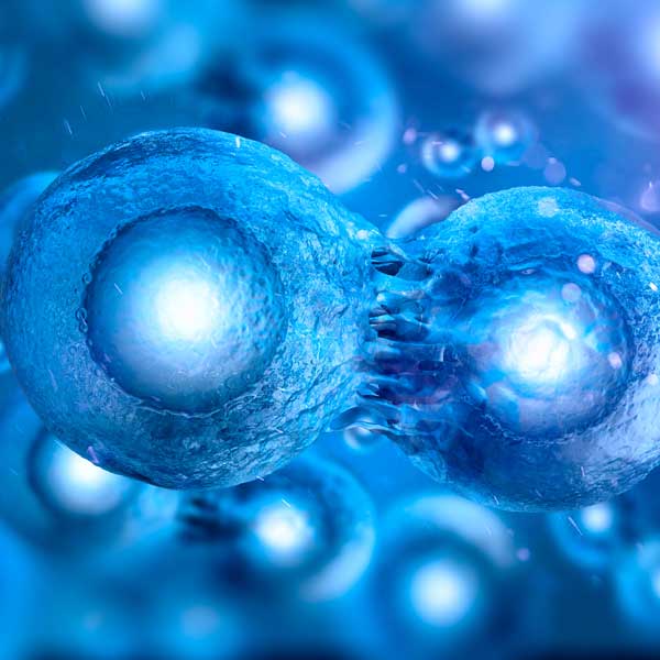 Cellular Assays Application